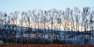 ●6旭岳連峰東神楽2010.5