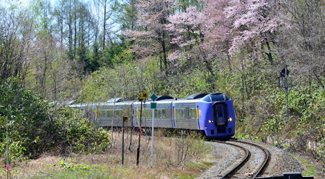 塩狩峠 一目千本桜 子安栄信のカメラ箱