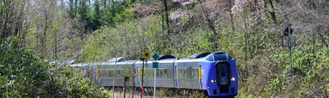 塩狩峠　一目千本桜