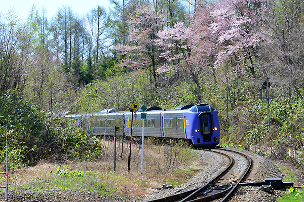 塩狩峠 一目千本桜 子安栄信のカメラ箱