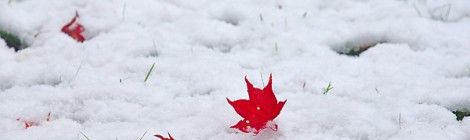 とうとう初雪　常磐公園