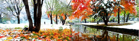 足元の雪と紅葉Ⅱ　常磐公園