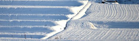 雪景色