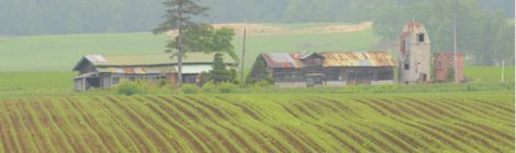 士幌・牧草地